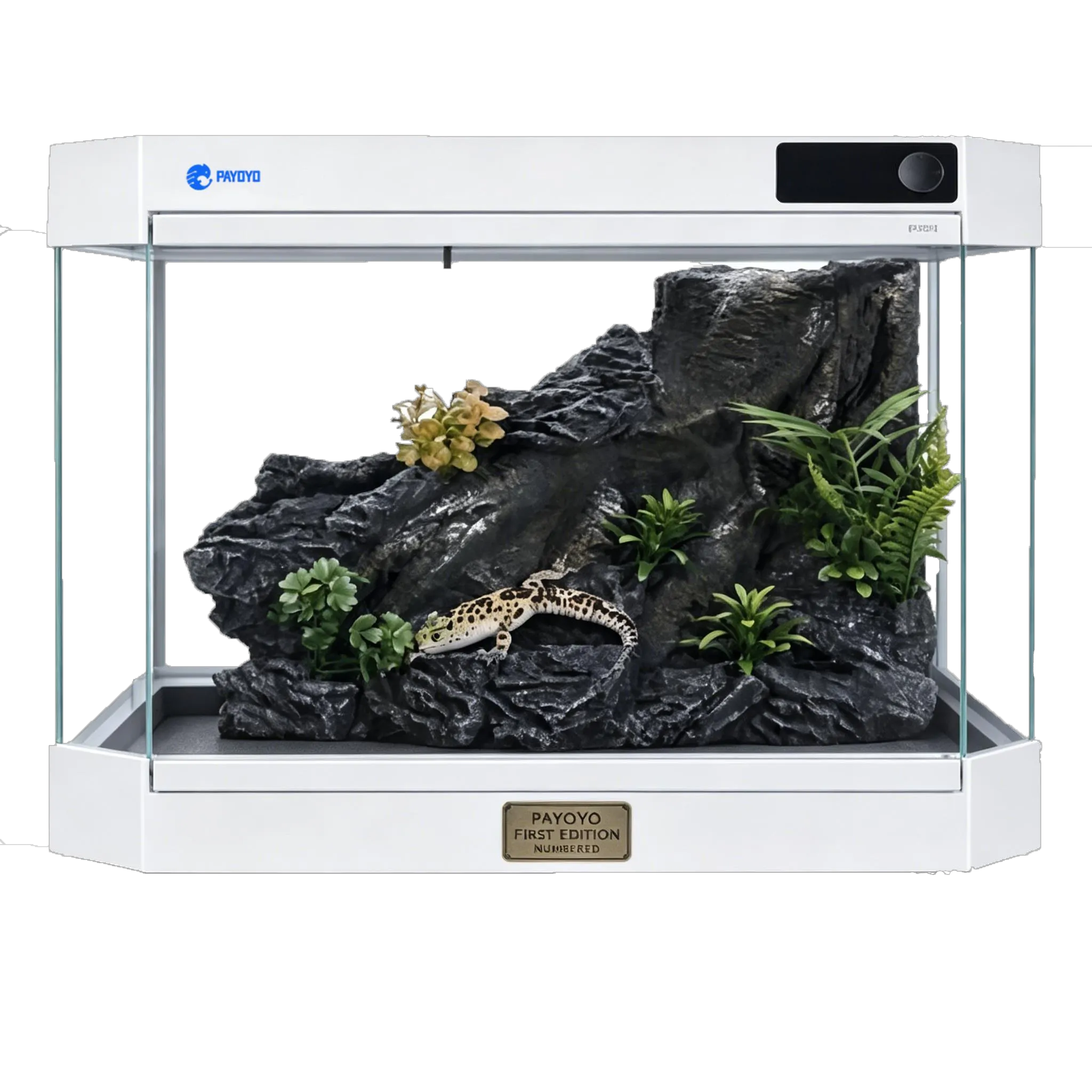 White PaVos D1 smart reptile terrarium with a planted rock landscape